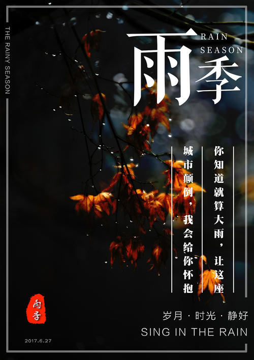 买个假的假爱尔兰护照电子版